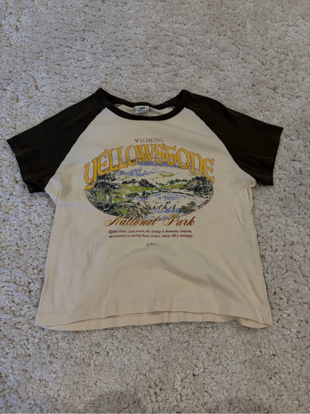 Urban Outfitters Yellowstone National Park Raglan Tee - Cream and Brown